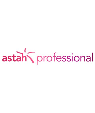 changevision-astah-professional